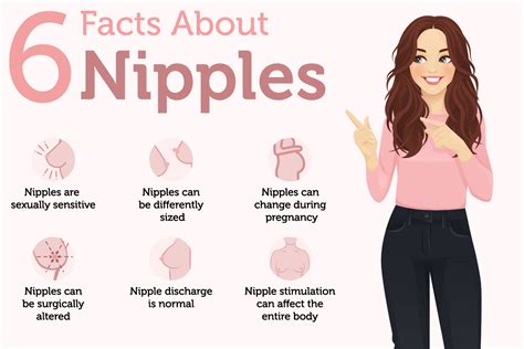 pointy nipple|The 12 Different Breast Shapes and Types